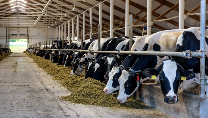 Horizon Organic is aiming to achieve carbon neutrality before going beyond that milestone by removing or preventing additional carbon emissions